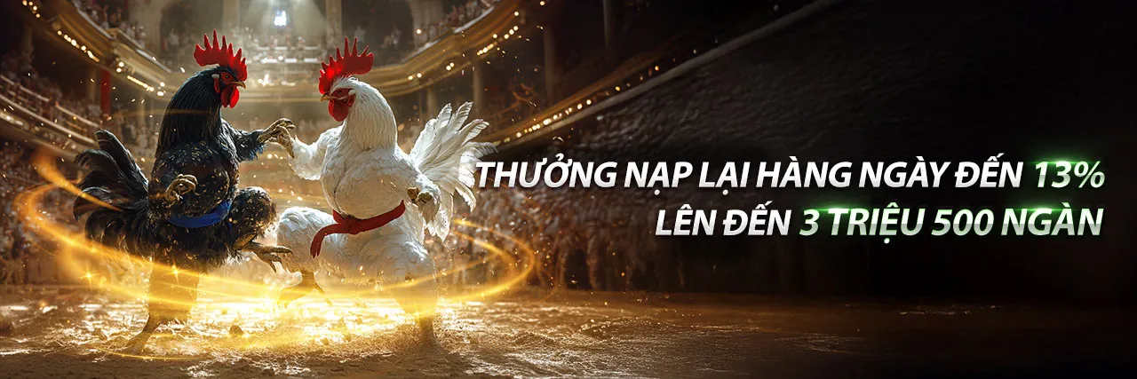 Đá Gà Trực Tiếp Năm 2023 - Sân đấu sống động